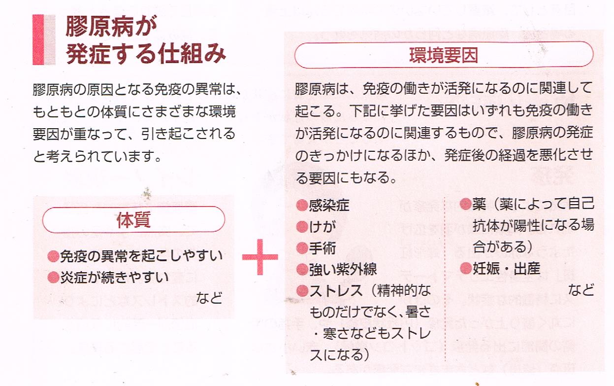 膠原病が発症する仕組み