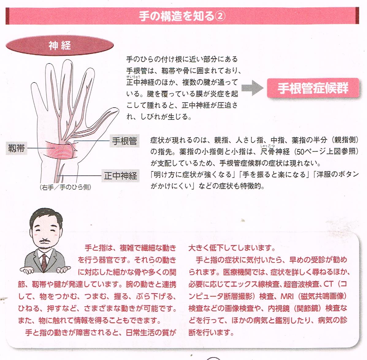 手の構造と起こりやすい病気②