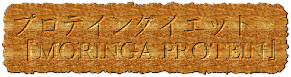 プロテインダイエット『MORINGA PROTEIN』