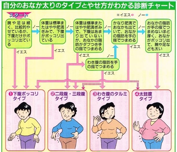 診断チャート